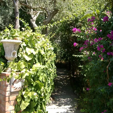 Parco Damecuta Anacapri Casa vacanze Anacapri (Isola di Capri)